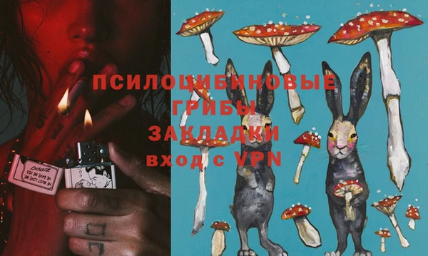 прущие крисы Алзамай