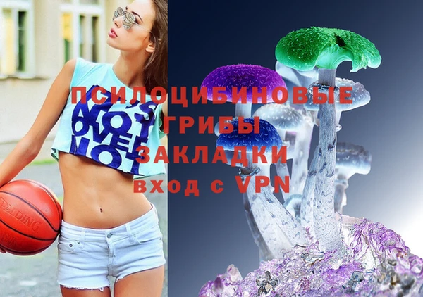 бошки Алексеевка