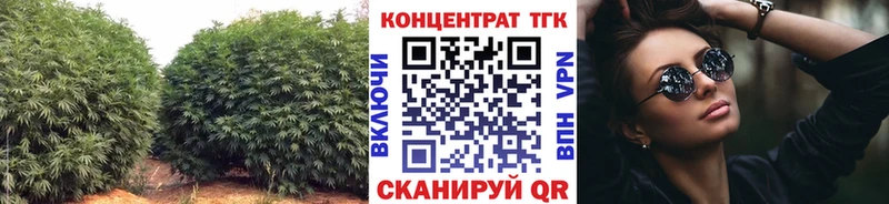сколько стоит  Хотьково  ТГК концентрат 