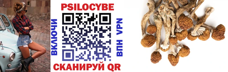 hydra   Хотьково  Галлюциногенные грибы мухоморы 